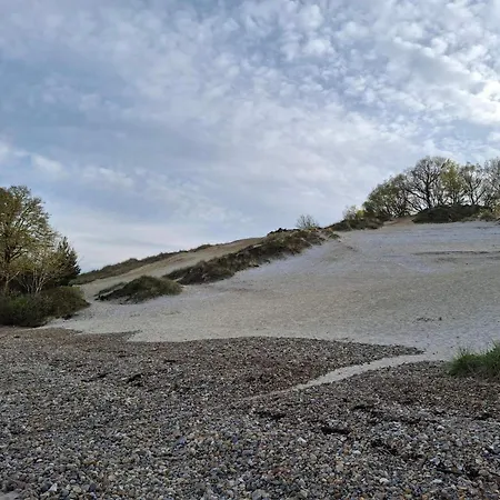 Feriehus 8 Person In Borkop-by Traum Børkop