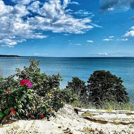 Casa vacanze 8 Person In Borkop-by Traum *