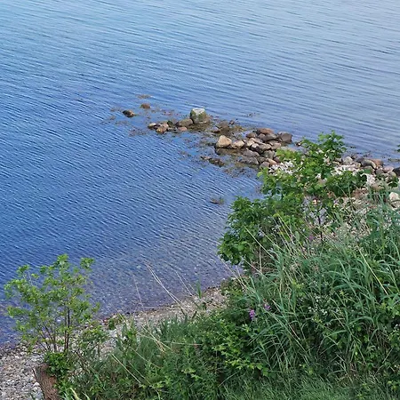 8 Person In Borkop-by Traum *