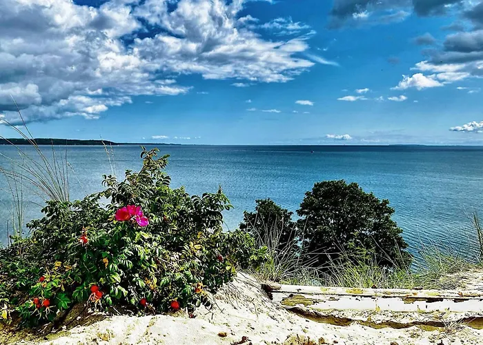 Holiday home 8 Person In Borkop-by Traum *