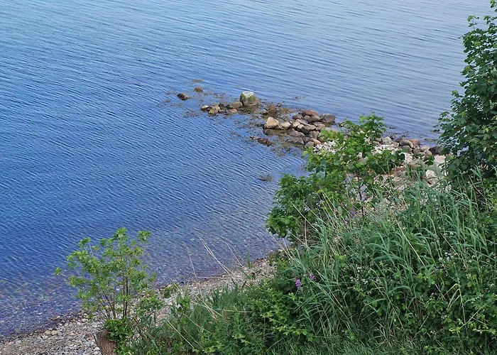 8 Person In Borkop-by Traum *