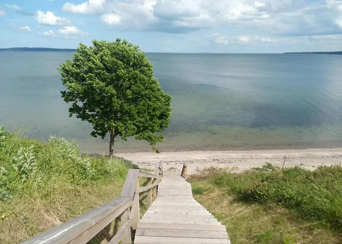 8 Person In Borkop-by Traum *